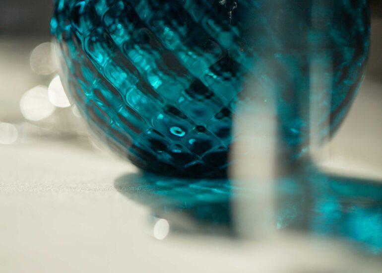 Roberto FANI – Ristorante FANI *