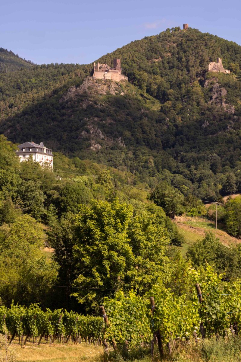 Domaine Eblin Fuchs - Alsace