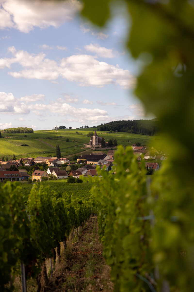 Domaine Eblin Fuchs - Alsace