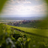 Domaine Eblin Fuchs - Alsace