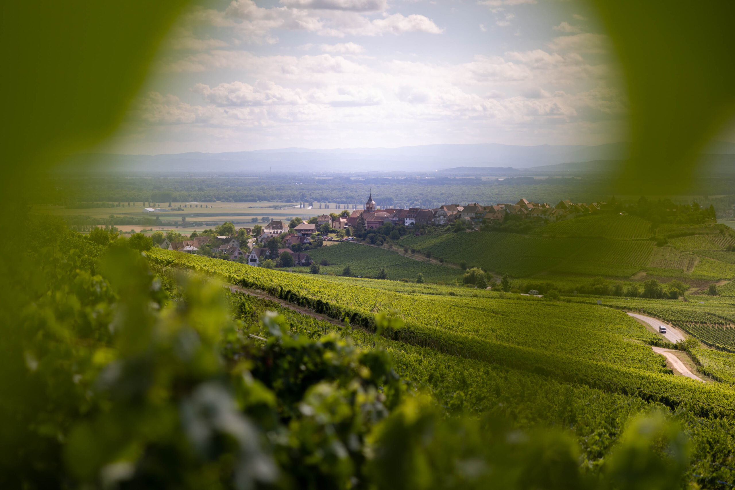 Domaine Eblin Fuchs - Alsace